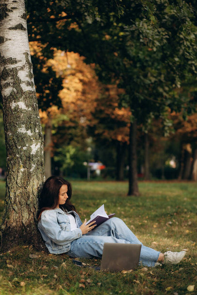 Parkta çimlerde oturan bir kadın dizüstü bilgisayarla çalışıyor. Kulaklık takan bir kadın parkta bir ağacın altında otururken dizüstü bilgisayar kullanıyor. Arkasından parlak güneş ışığı geliyor. Yüksek kalite fotoğraf - Fotoğraf, Görsel