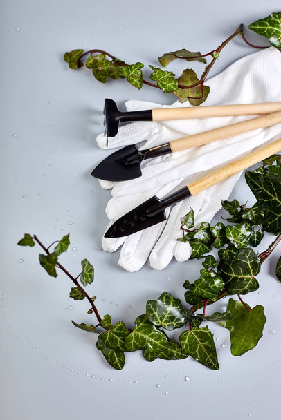 Gartengeräte, Handschuhe und grüne Blätter auf grauem Hintergrund, Frühjahrsgartenkonzept, flache Lage, Draufsicht.  - Foto, Bild