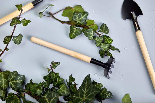 Gardening tools and green leaves on grey background, Spring garden works concept, flat lay, top view, copy space. - Photo, Image