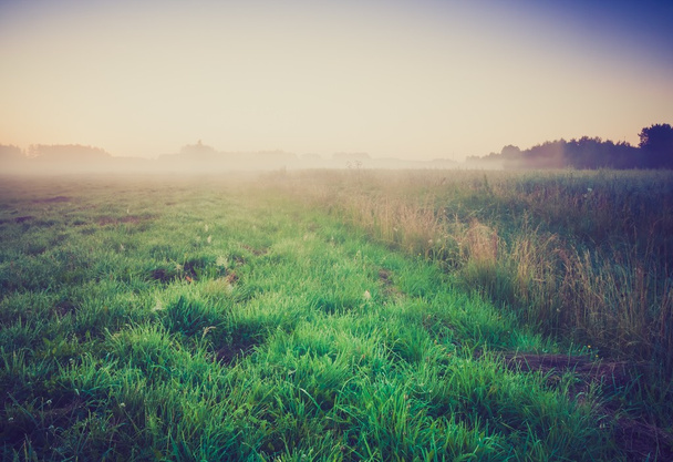 Винтажное фото утреннего туманного луга летом. Сельский пейзаж
 - Фото, изображение