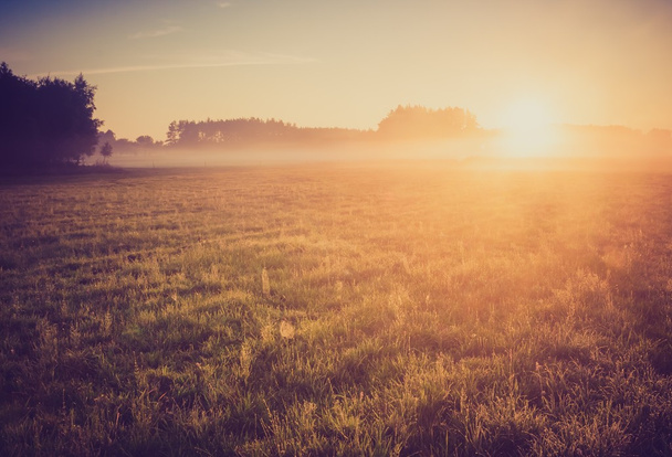 Foto vintage del prado nebuloso de la mañana en verano. Paisaje rural
 - Foto, Imagen