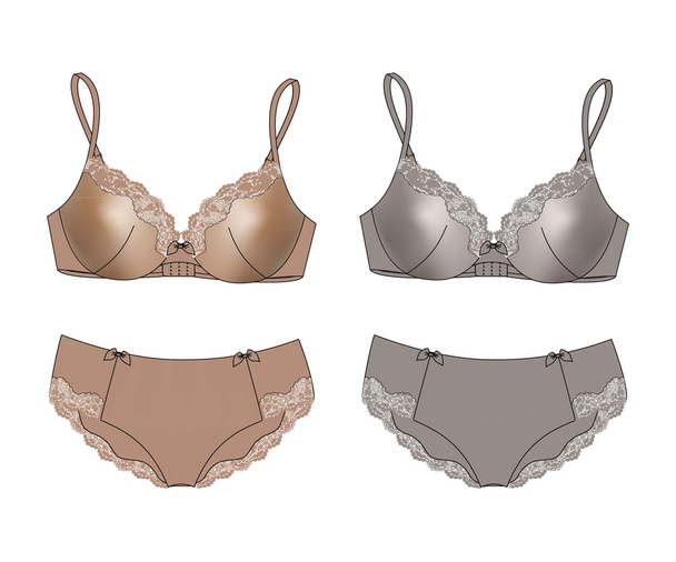 Sexy  set of lingerie bra and panties isolated.  - Vektor, Bild