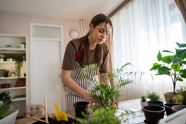 One Young woman caucasian female gardener or florist take care and cultivate domestic flowers plants at home gardening concept copy space - Fotó, kép