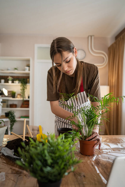 Egy fiatal nő kaukázusi női kertész vagy virágárus vigyázni és termeszteni háztartási virágok növények otthon kertészeti koncepció másolás hely - Fotó, kép