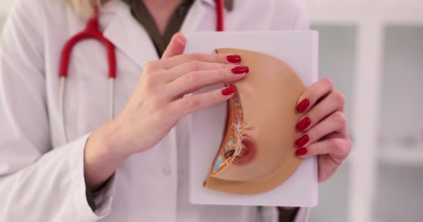 Γιατρός δείχνει πώς να εξετάσει ανεξάρτητα το στήθος σε τεχνητό μοντέλο closeup 4k ταινία. Αυτοδιάγνωση έννοια πρόληψη του καρκίνου του μαστού - Πλάνα, βίντεο