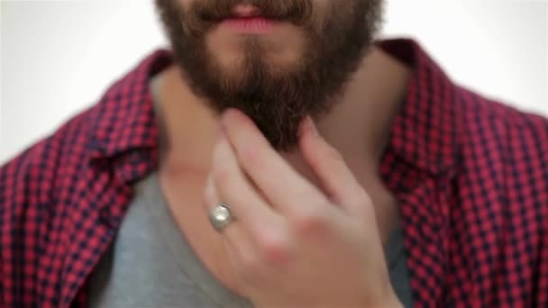 Closer portrait of man touching his perfect beard. Life style concept: a young man with a beard. Hipster style. Over white background. - Footage, Video
