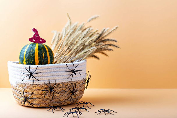 Halloween. Black spiders are climbing on wicker basket with beautiful striped pumpkin in red hat, and dry grass lying next to it. Halloween beige background with copy space. Locally grown - Photo, Image