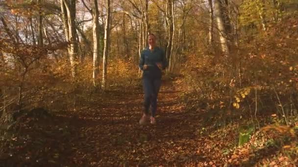 PORTRAIT: Šťastné běžecké schody na skále ukryté pod spadlým listím a vyvrtnuté kotníky během ranního běhu v podzimním barevném lese. Aktivní žena klopýtá bolestí po nepříjemném neštěstí. - Záběry, video