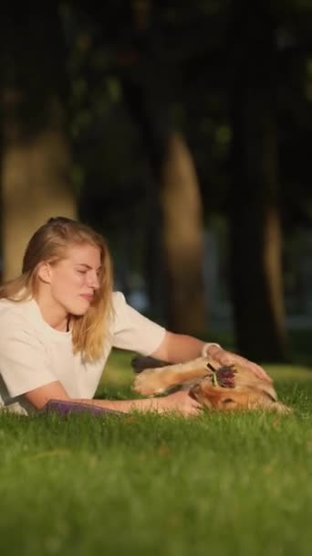Jovem mulher brincando e se divertindo com seu Inglês Cocker Spaniel Dog no gramado no parque da cidade. Menina atraente andando com seu animal de estimação ao ar livre - Filmagem, Vídeo