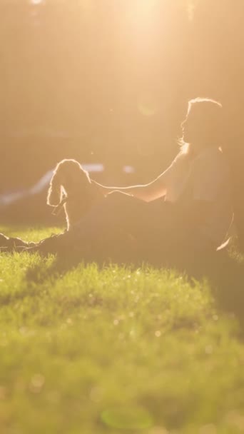 Junge Frau sitzt mit Hund auf Rasen neben Baum im Park und streichelt ihn Mädchen Walks Mit Sie English Cocker Spaniel Outdoors In Sunshine - Filmmaterial, Video