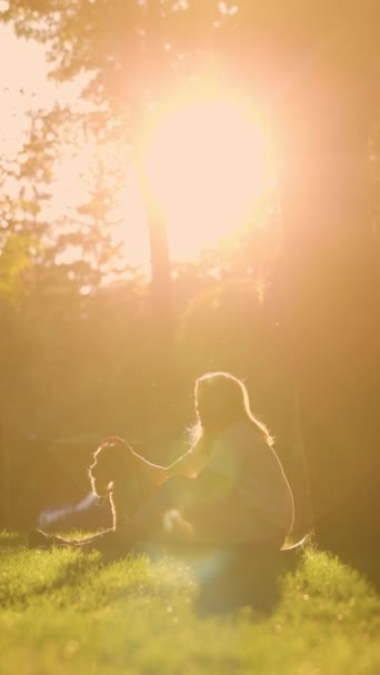 Giovane donna siede sul prato vicino all'albero nel parco con il suo cane e lo accarezza. Ragazza passeggiate con suo inglese cazzo Spaniel all'aperto in sole - Filmati, video