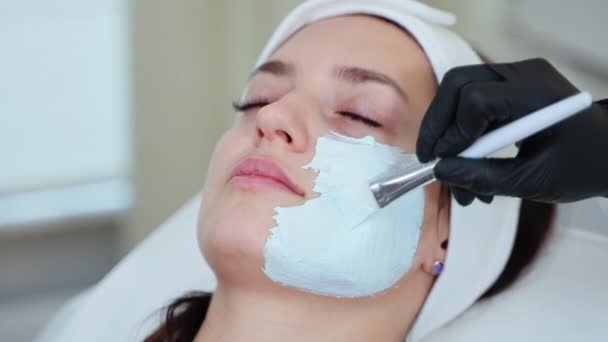 Close-up van een vrouw die een gezichtsbehandeling met kleimasker krijgt. Schoonheidsspecialiste die cosmetisch product met een borstel aanbrengt. Reiniging en verjonging van de huid - Video