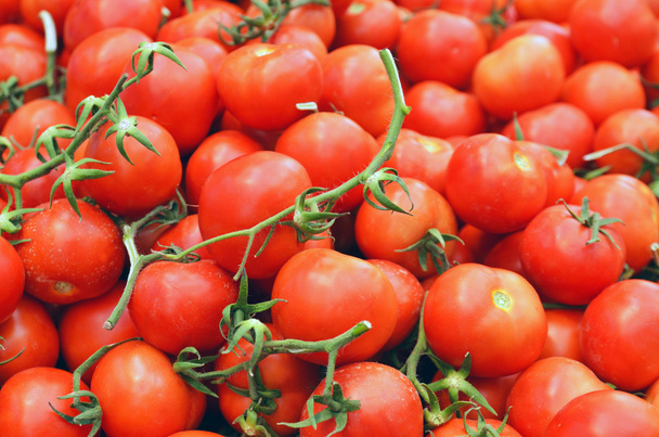 Tomaattien lähikuva - Valokuva, kuva