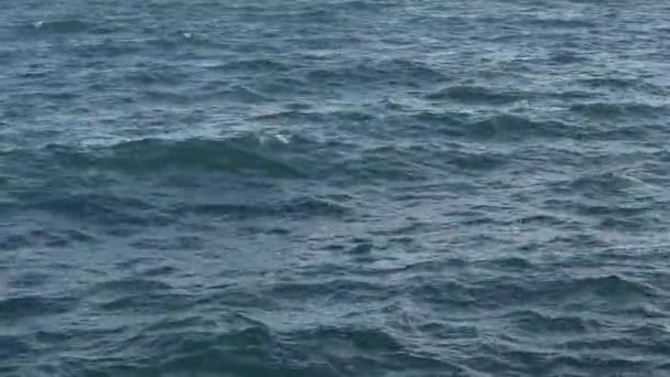 olas chocando contra la pared de la playa - Metraje, vídeo