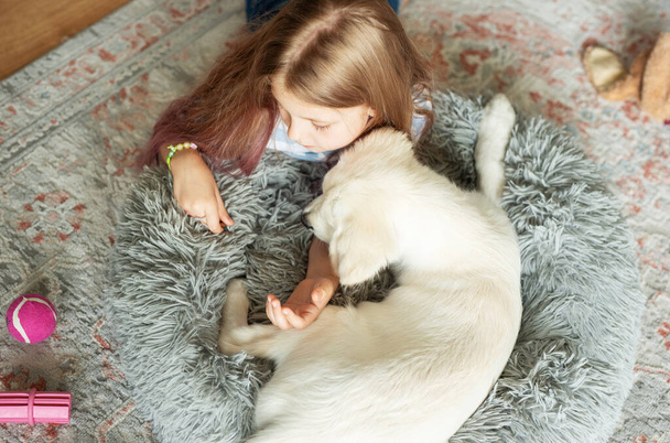 Evde Golden Retriever köpeğiyle oynayan küçük bir kız. Evdeki arkadaşlar. - Fotoğraf, Görsel