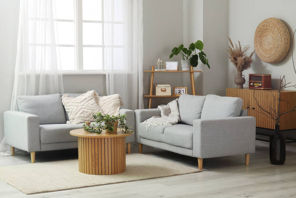Tyylikäs harmaa sohvat, hylly yksikkö, laatikot ja huonekasvit sisätilojen valo olohuone - Valokuva, kuva