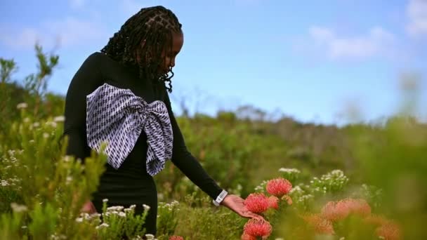 Egy nő, aki a virágot nézi a természetben - Felvétel, videó