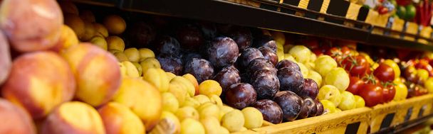 photo of colorful fruit stall with peaches, plums and melons at grocery store, object photo, banner - Photo, Image