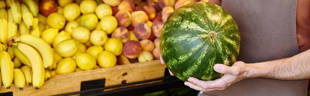 oříznutý pohled na zralého prodejce držícího sladký vodní meloun s ovocným stánkem na pozadí, prapor - Fotografie, Obrázek