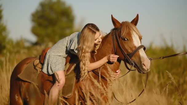 Een jonge mooie vrouw zit op een paard in het herfstbos. Paardrijden. Voorbereiding van een springwedstrijd. - Video