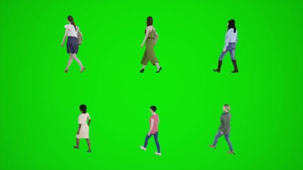 3d verde pantalla seis mujeres caminando en la acera de tres ángulo acorralado 3d personas redner croma clave fondo animación hombre y mujer caminar hablar - Metraje, vídeo