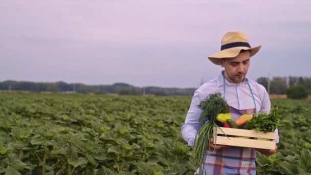 Фермер держит свежие зрелые овощи, проверяет качество продукции, нюхает овощи, держит камеру на фермерском рынке на открытом воздухе. Органические овощи, мелкая местная ферма, сельскохозяйственная концепция - Кадры, видео
