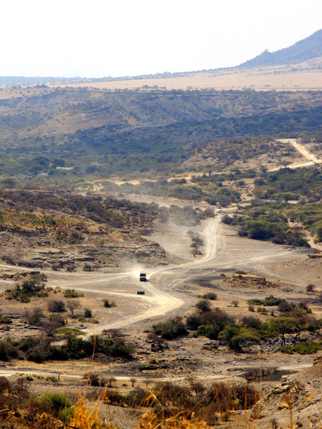 Olduvai Gorge la Culla dell'Umanità
 - Foto, immagini