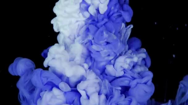 Kleurrijke inkt verf bovenaanzicht mengen in het water in slow motion. Inktvloeistof onder water op zwarte ondergrond. rood blauw gele abstractie - Video
