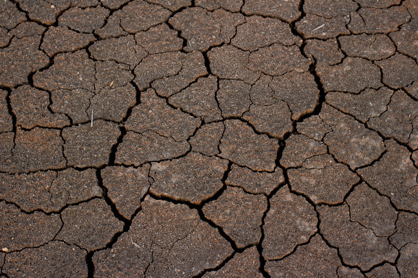 Fondo de tierras de sequía
 - Foto, imagen