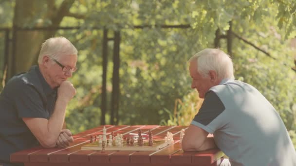 Seitliche Ansicht von zwei intelligenten grauhaarigen Senioren, die an sonnigen Tagen im Park Schach spielen - Filmmaterial, Video