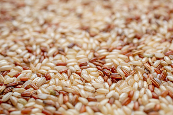 Grains de riz brun intégraux - Photo, image
