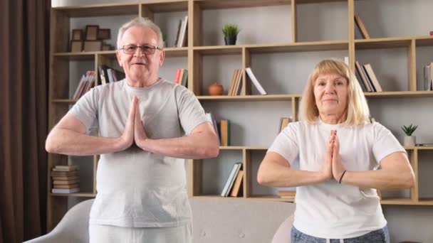Una coppia anziana sta facendo esercizi di yoga a casa. Formazione online per pensionati. Concetto yoga. - Filmati, video