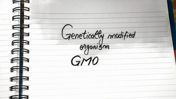 Gmo Genetycznie zmodyfikowany organizm wolny odręczne pismo na papierze, w programie biurowym. Przestrzeń kopiowania. - Zdjęcie, obraz