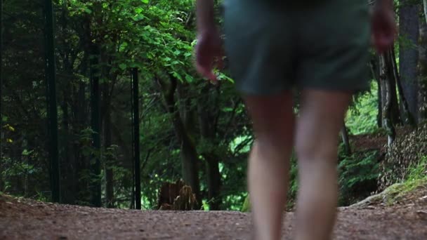 žena kráčející v lese - Záběry, video