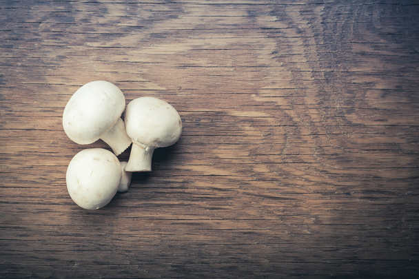 three fresh mushrooms lying  - Foto, immagini