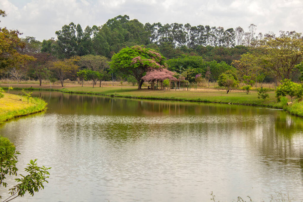 Parque público, Leoldio di Ramos Caiado, en la ciudad de Goiania, con un pequeño lago y abundante vegetación. - Foto, imagen