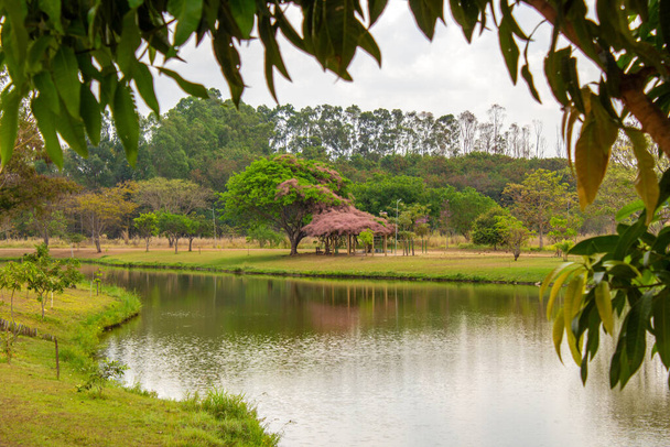 Imagem de um parque fortemente arborizado com um lago, emoldurado por ramos com folhas, na cidade de Goiânia. Parque Leolidio di Ramos Caiado. - Foto, Imagem