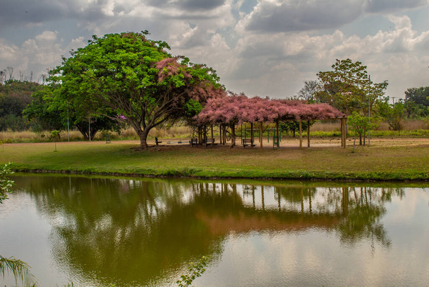 Parque público, Leoldio di Ramos Caiado, na cidade de Goiânia, com um pequeno lago e vegetação abundante. - Foto, Imagem