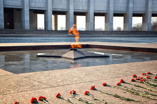Eeuwige vlam - symbool van de overwinning in de Tweede Wereldoorlog. Poklonnaya Gora, Victory Park, Moskou, Rusland - Foto, afbeelding