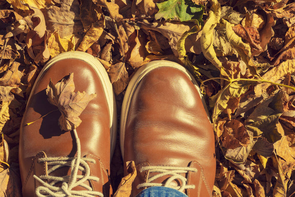 秋の葉、足と茶色の靴。概念的な秋の組成物。秋の森を歩く足の靴。葉が落ちるという概念 - 写真・画像