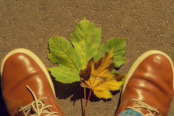 Herfst bladeren, benen en bruine schoenen. Conceptuele najaarscompositie. Voeten schoenen wandelen in het herfstbos. Het concept van blad vallen - Foto, afbeelding