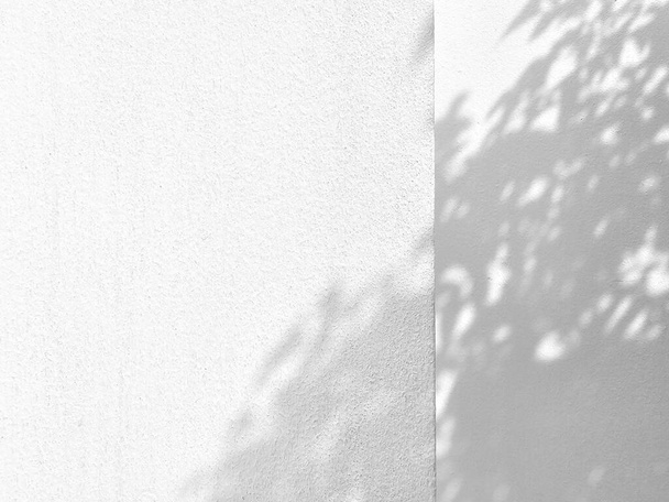 Cień drzewa w ogrodzie na Concrete Wall tekstury tła, nadaje się do prezentacji produktu tła, wyświetlania i makiety. - Zdjęcie, obraz