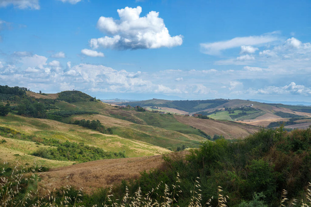 Krajobraz wiejski w Val d Orcia, prowincja Siena, Toskania, w lecie - Zdjęcie, obraz
