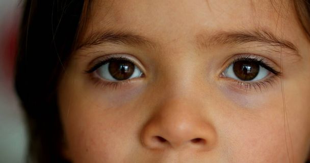 Little girls eyes staring camera. Close-up child eye - Foto, Bild