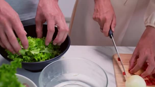 Κοντινό πλάνο των χεριών των ανθρώπων κοπή λαχανικών, ενώ προετοιμασία σαλάτα για το μεσημεριανό γεύμα - Πλάνα, βίντεο