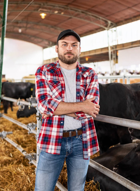 Amerikai farmer portréja a marhahúsgazdaságban. - Fotó, kép