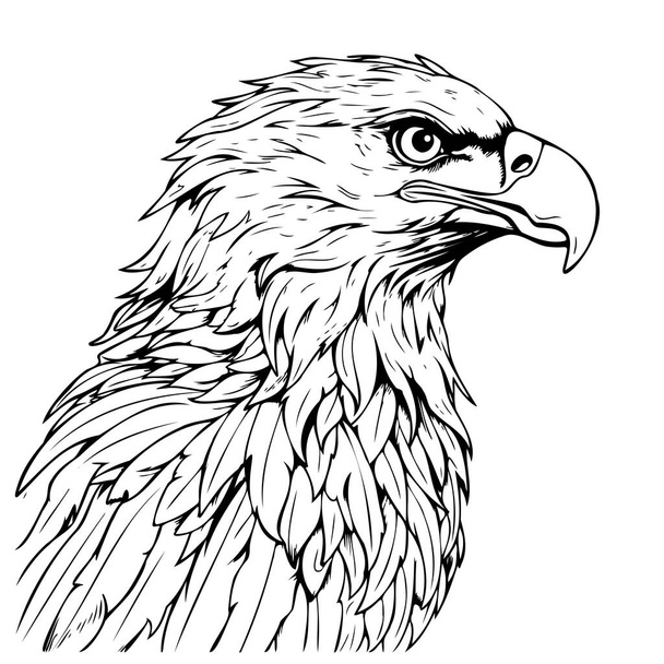 Águila cara boceto dibujado a mano Vector Aves silvestres - Vector, Imagen