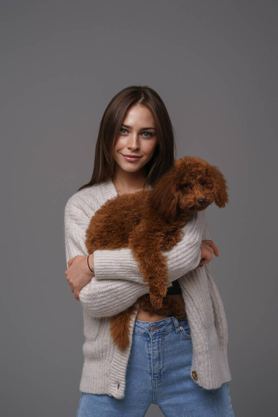 Charming girl in a white sweater holding her beloved brown toy poodle against a gray studio backdrop - Foto, immagini