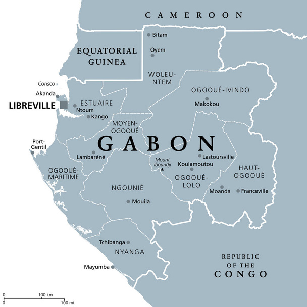 Gabão, mapa político cinzento com províncias. República Gabonesa, com capital Libreville. Faz fronteira com a Guiné Equatorial, Camarões, República do Congo, Golfo da Guiné. - Vetor, Imagem
