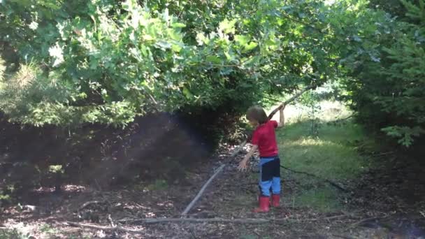 a boy with a stick is playing in the woods - Footage, Video